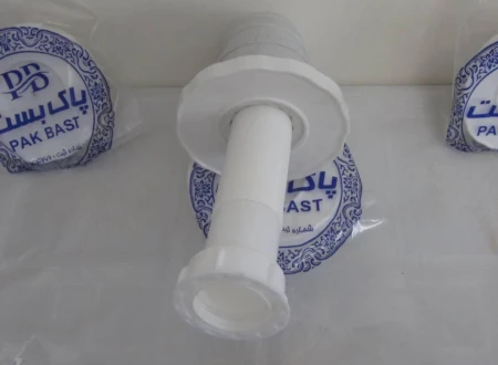پاک بست