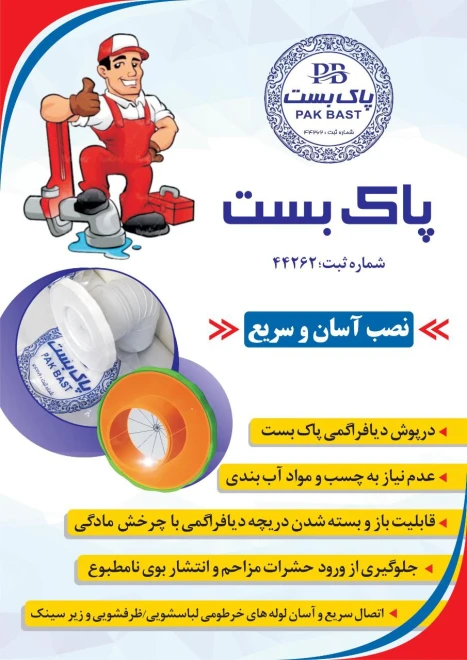 پاک بست