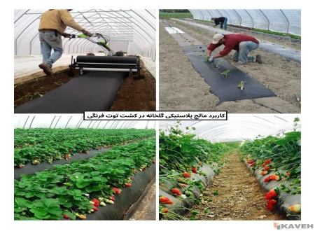 تولیدی پلاستیک صنعت کاوه