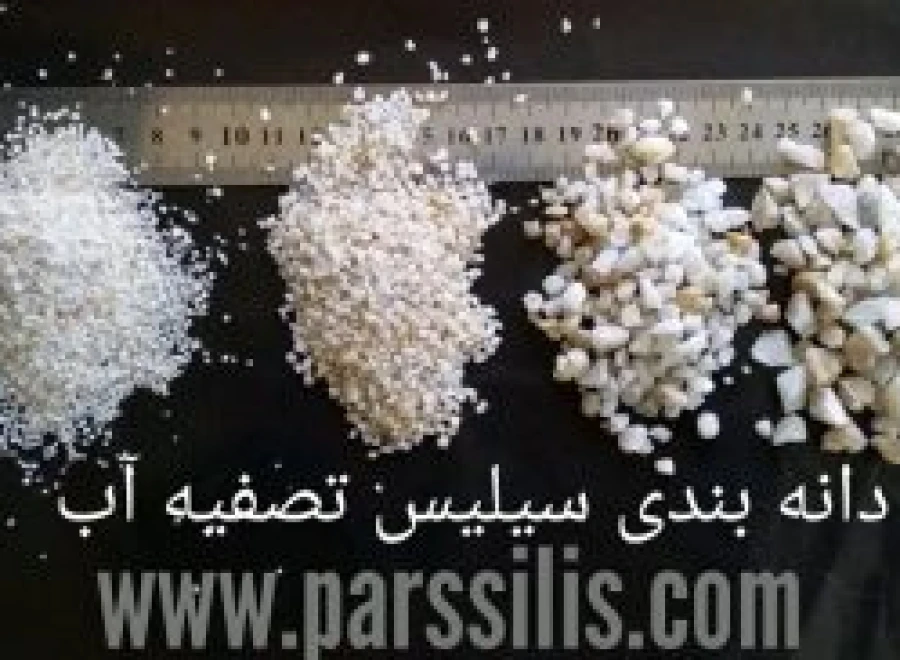 پارس سیلیس